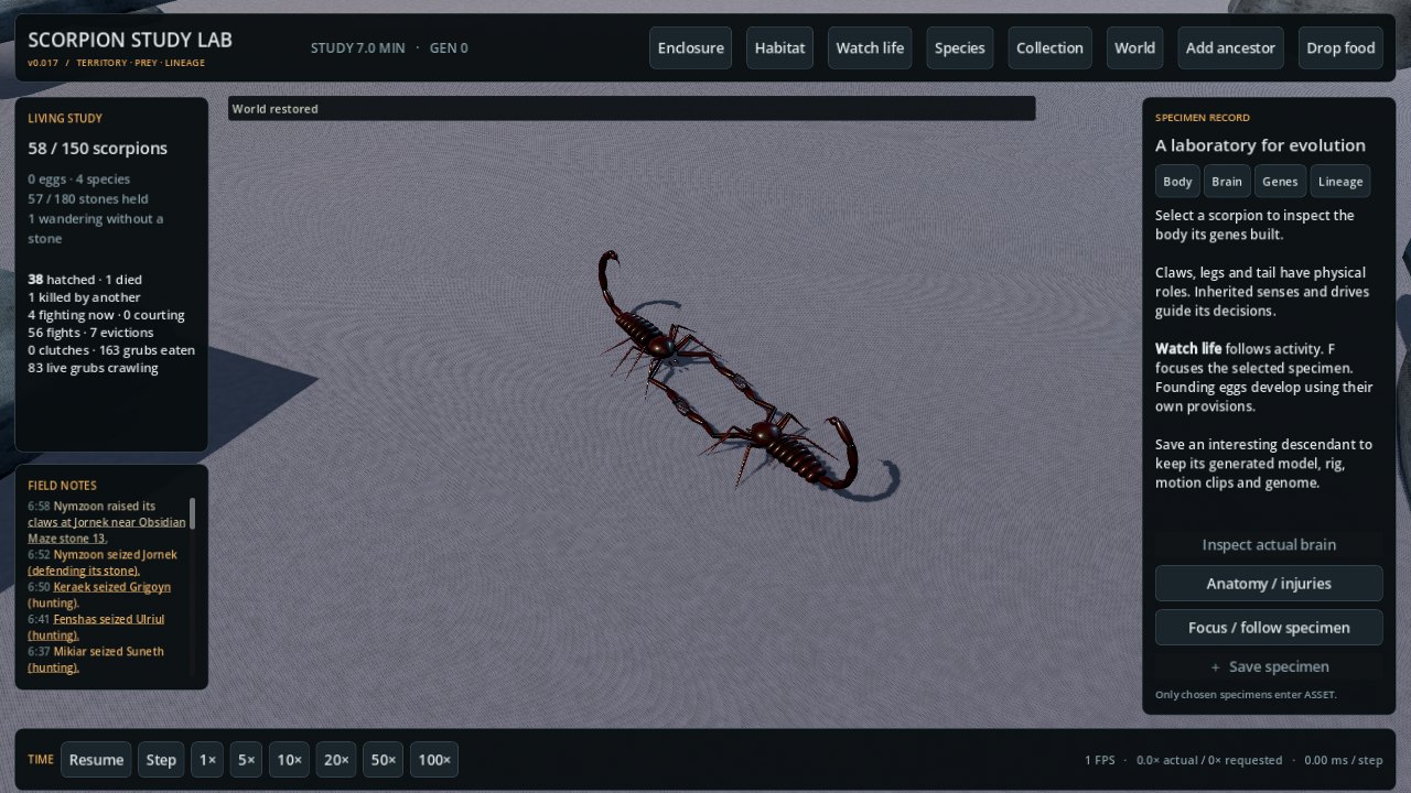 Two scorpions locked claw to claw in a fight over a stone