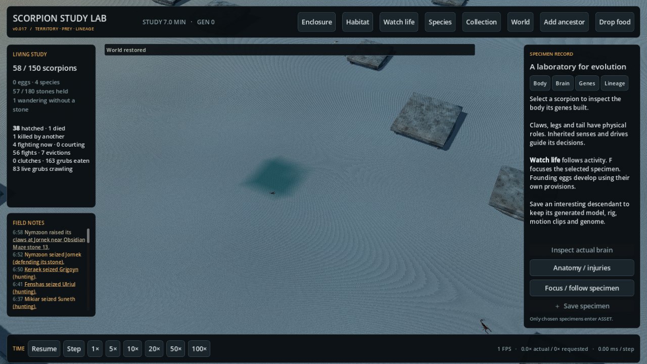 Overhead view of a habitat: stones spread around a central water hole