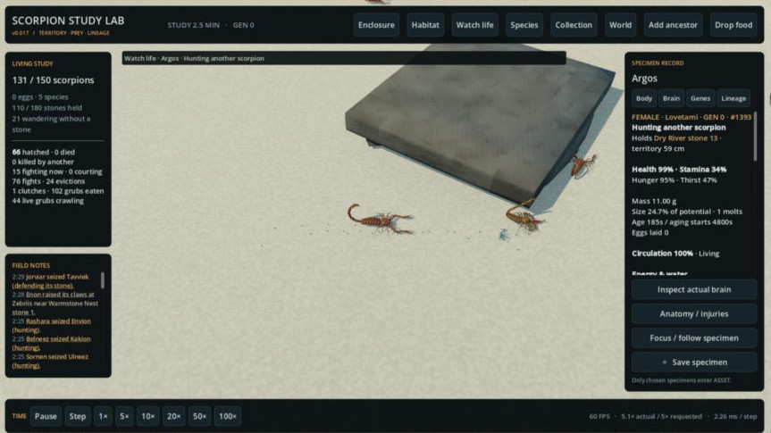 Scorpion Study Lab: the Watch life camera follows a scorpion named Argos hunting another scorpion beside her stone, with field notes and a specimen record on screen